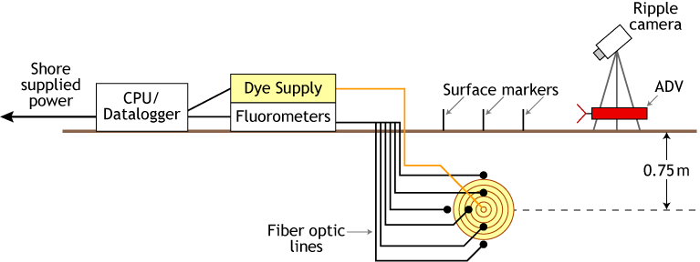 Sketch of field array for dye dispersion experiments.